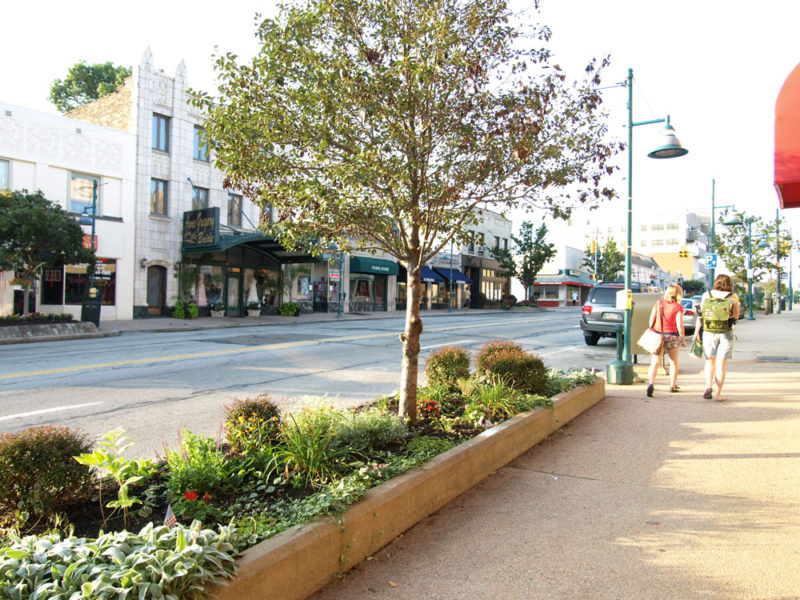 Mount Lebanon Real Estate and Homes For Sale Mt Lebanon Property